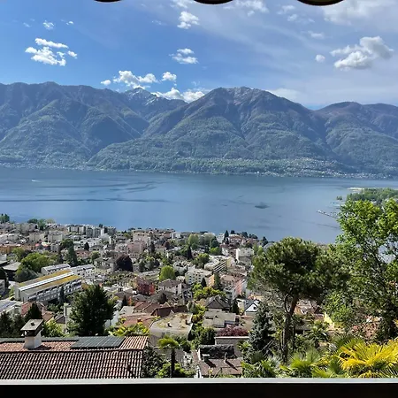 Belvedere By Fewotessin