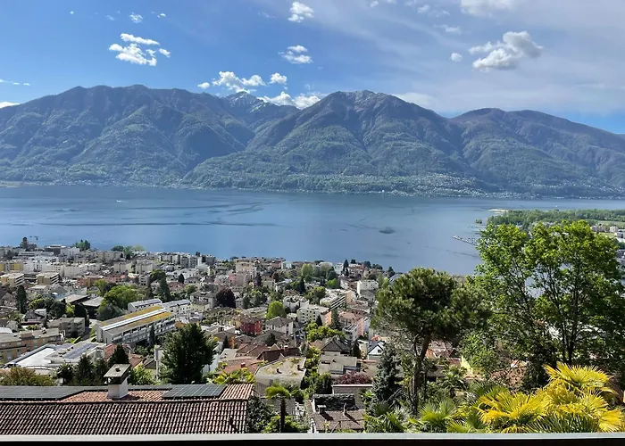 Belvedere By Fewotessin